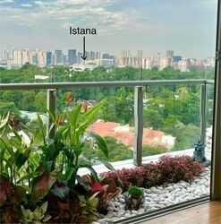 Cairnhill Crest (D9), Condominium #610284251